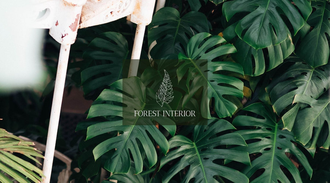 Neo Flora Plant List - Forest Interior