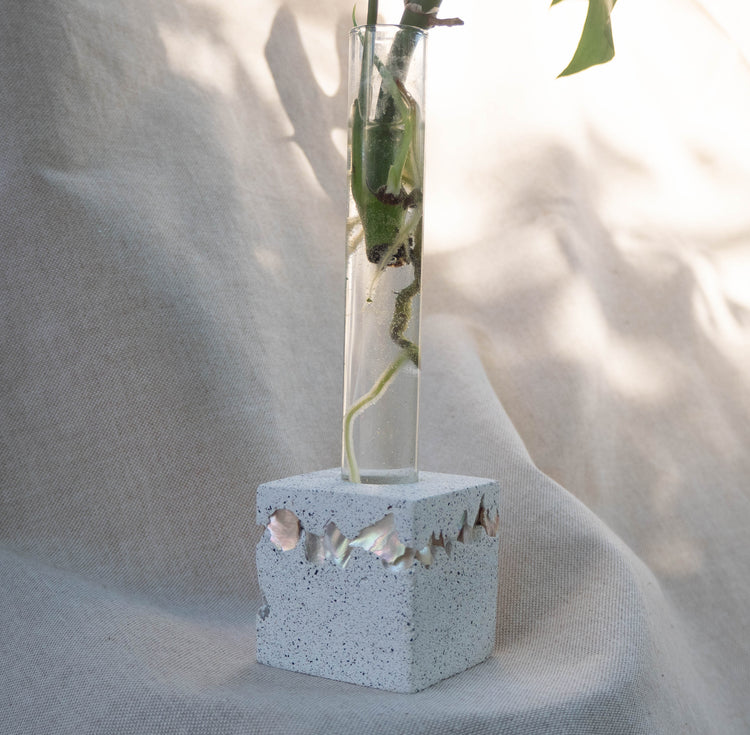 Propagation Stations | Forest Interior