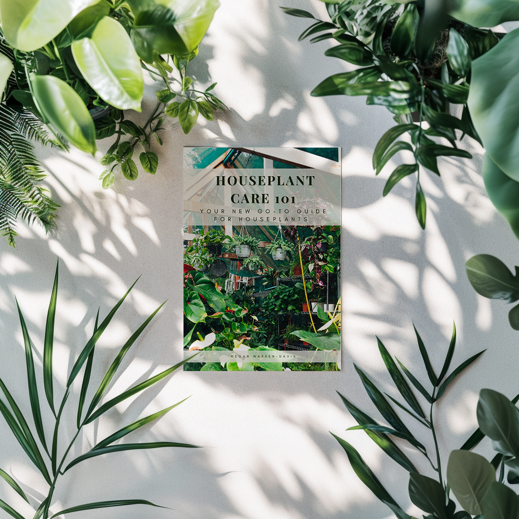 Houseplant Care 101 – Digital Guide