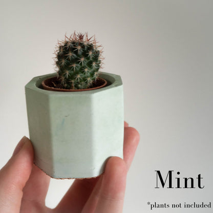 Mini Pastel Octagon Pots Set of Three