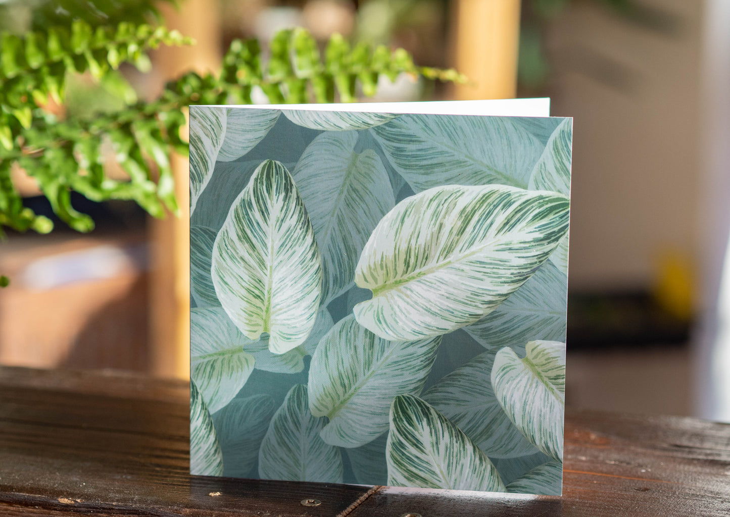 Philodendron Birkin Blank Card