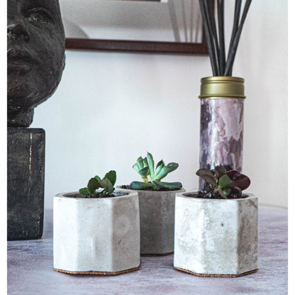 Mini Grey Octagon Pots Set of Three