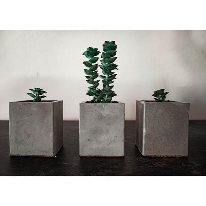 Mini Grey Square Plant Pots Set of Three