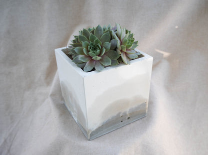 Large Square Cover Pot - Forest Mist - Forest Interior