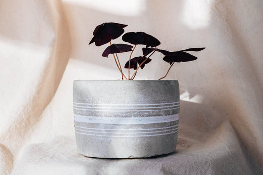 Line Cover Pot - Forest InteriorPlant Pots