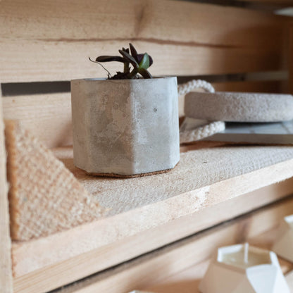 Mini Grey Octagon Pots Set of Three - Forest InteriorPlant Pots
