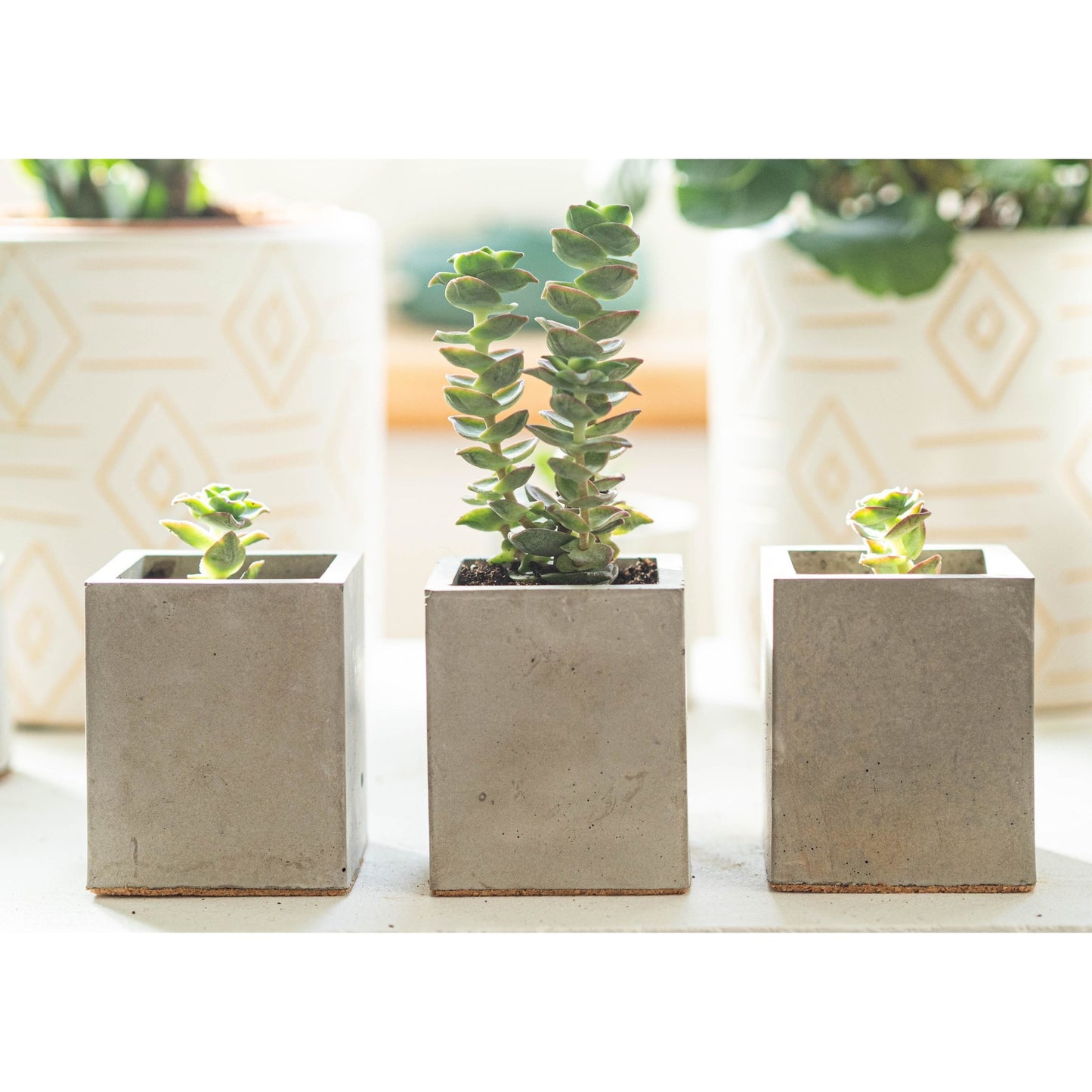 Mini Grey Square Plant Pots Set of Three - Forest InteriorPlant Pots