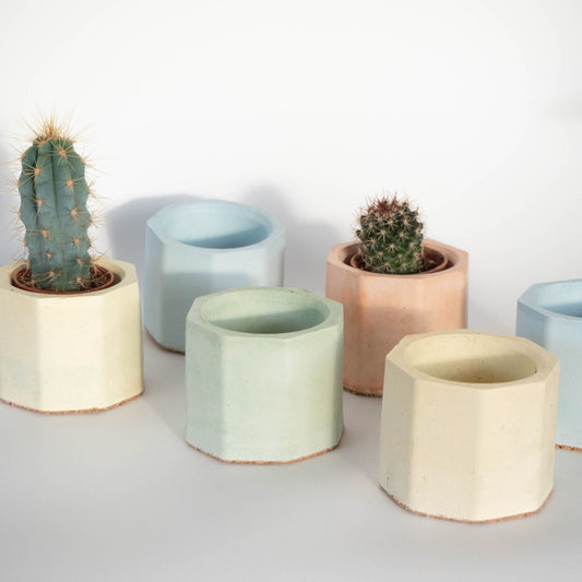 Mini Pastel Octagon Pots Set of Three - Forest InteriorPlant Pots