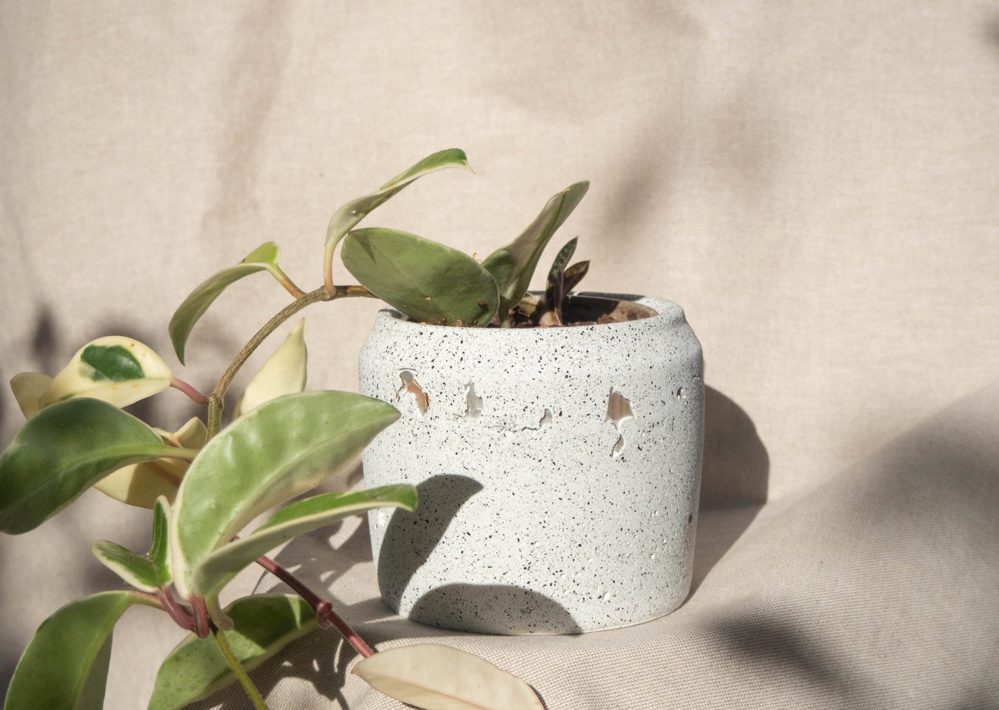 Mother of Pearl Traditional Plant Pot - Forest InteriorPlant Pots