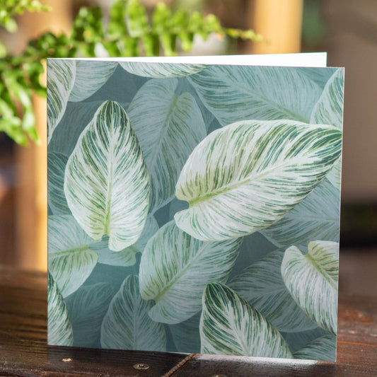 Philodendron Birkin Blank Card - Forest InteriorCards