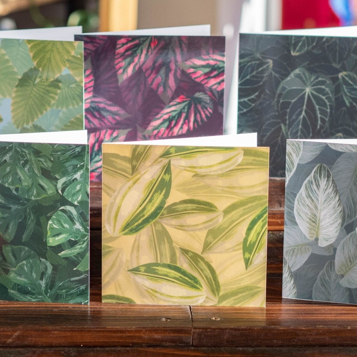 Set of Six Botanical cards - Forest InteriorCards
