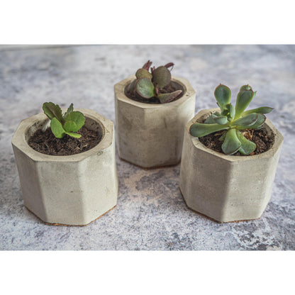 Mini Grey Octagon Pots Set of Three