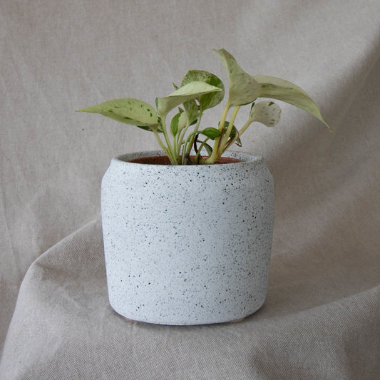 Traditional Plant Pot - Forest InteriorPlant Pots