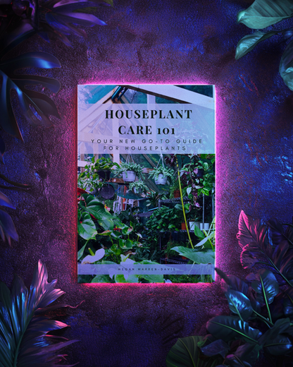 Houseplant Care 101 – Digital Guide (Supports Neo Flora Indoor Plant Garden!)