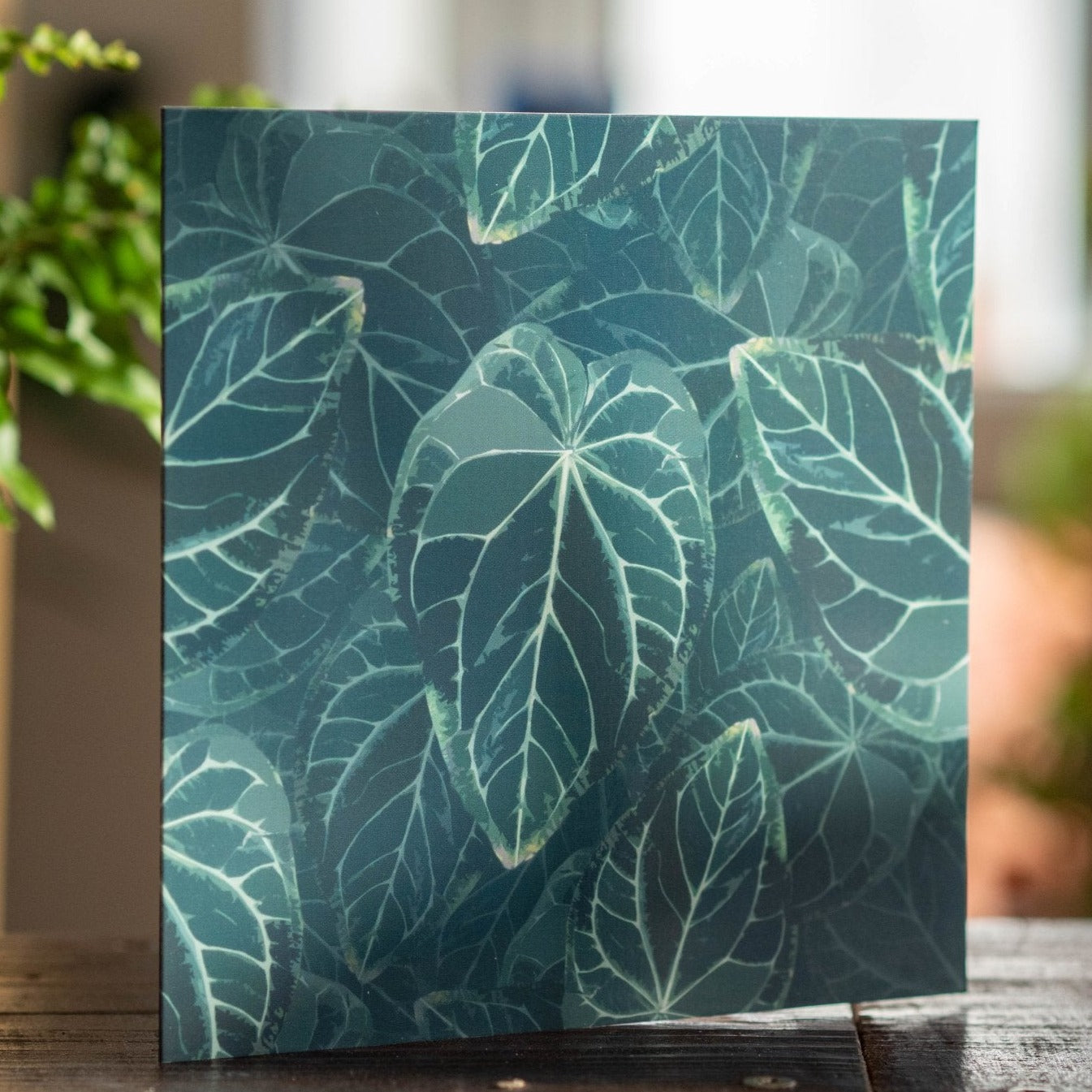 Anthurium Crystallinum Blank Card - Forest InteriorCards