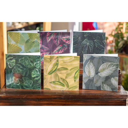 Anthurium Crystallinum Blank Card - Forest InteriorCards