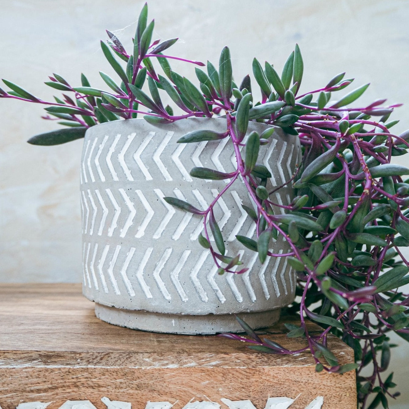 Grey Chevron Pot - Forest InteriorPlant Pots