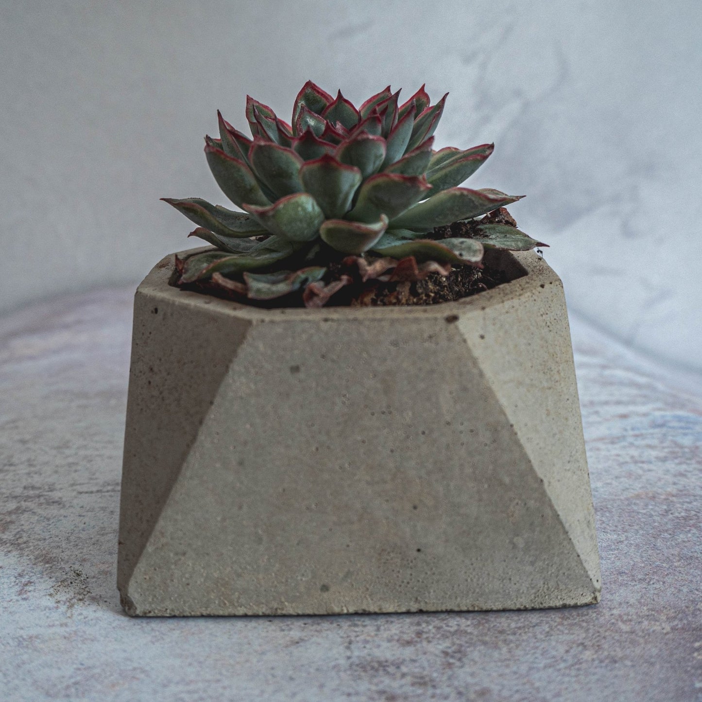 Grey Octagon Plant Pot - Forest InteriorPlant Pots