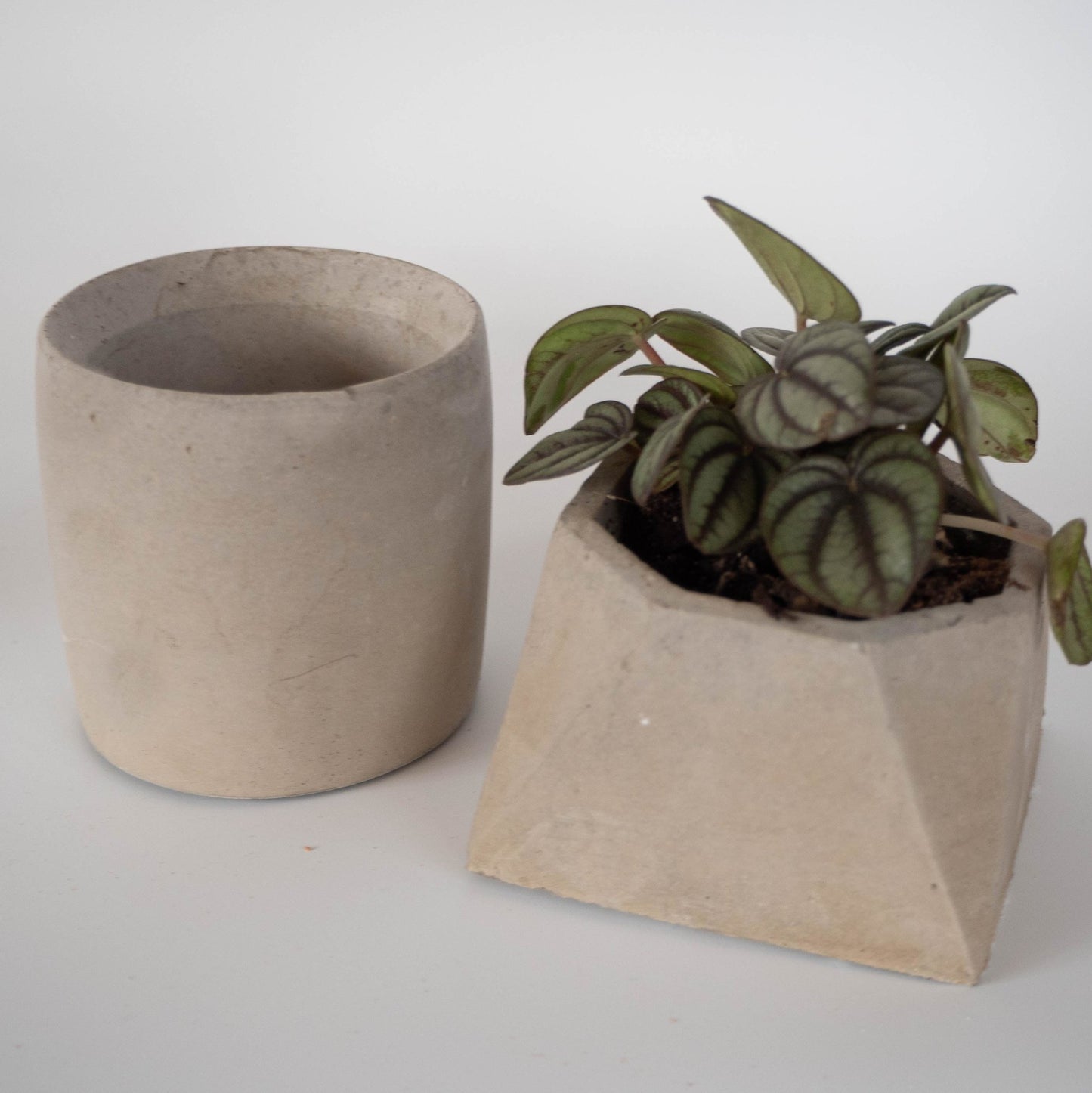 Grey Round Plant Pot - Forest InteriorPlant Pots