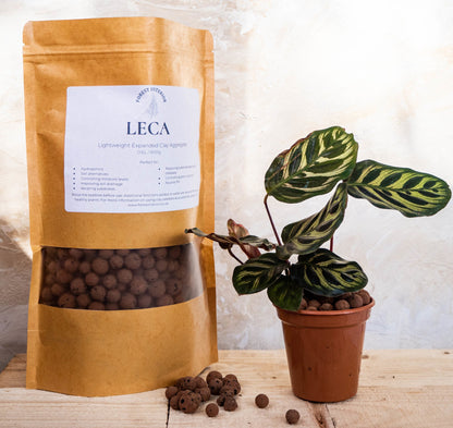 LECA Clay Pebbles - Forest InteriorSoil