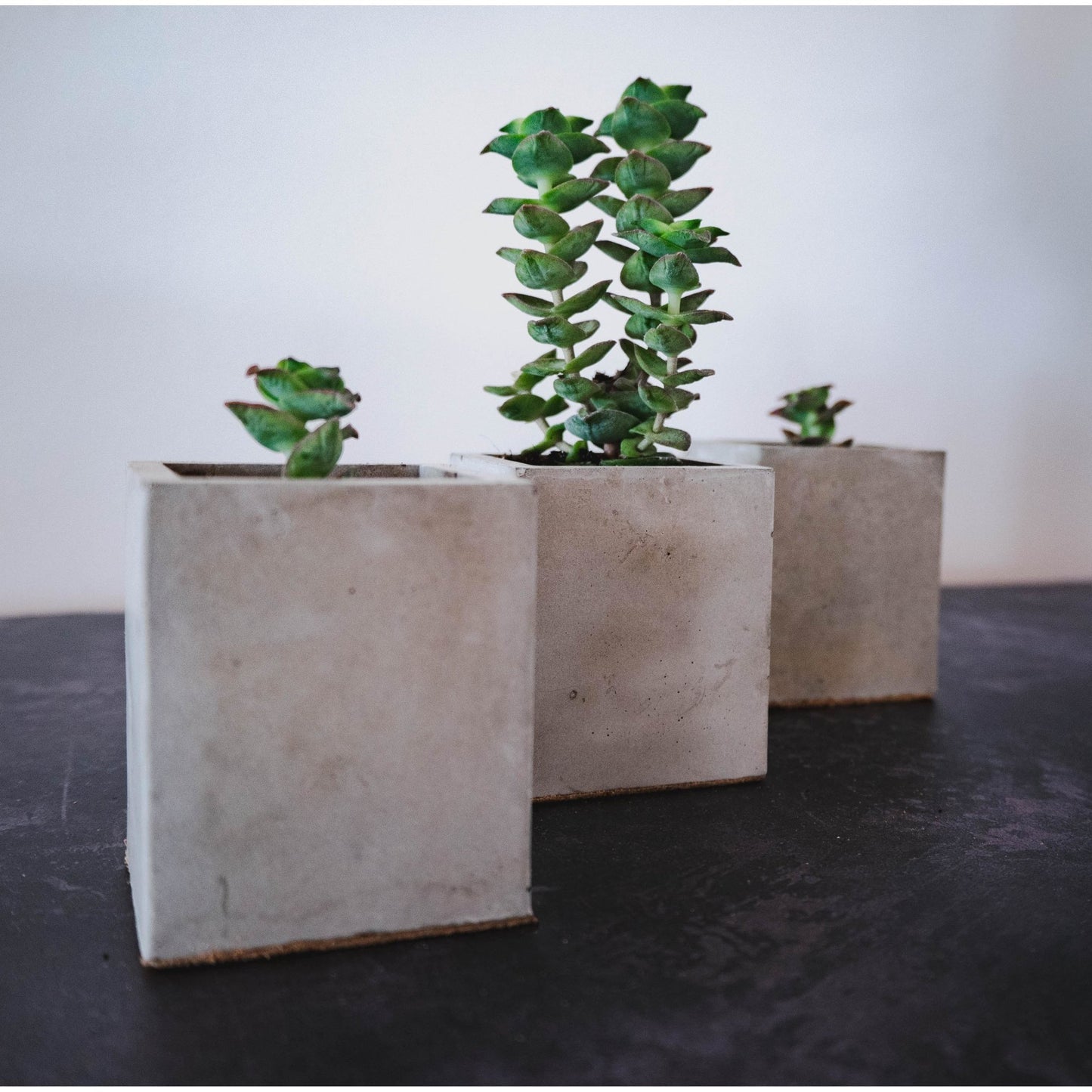 Mini Grey Square Plant Pots Set of Three - Forest InteriorPlant Pots