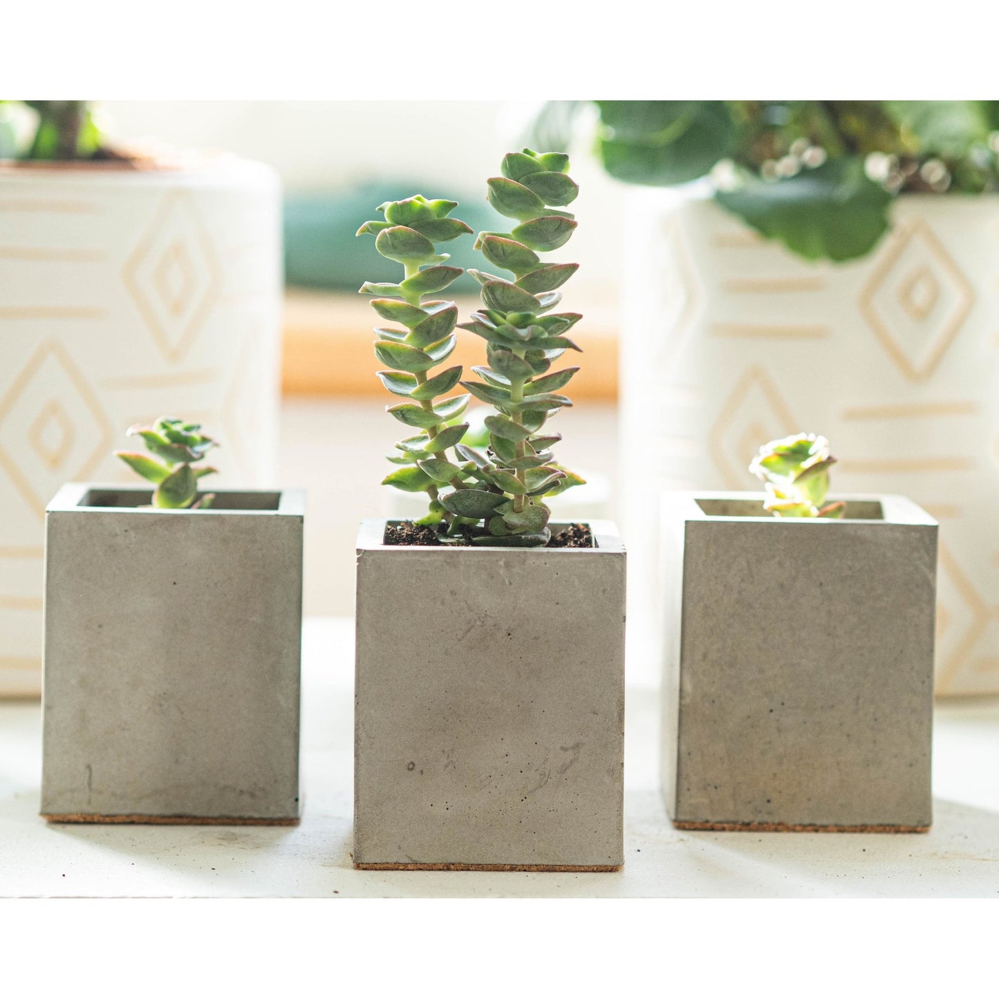 Mini Grey Square Plant Pots Set of Three - Forest InteriorPlant Pots