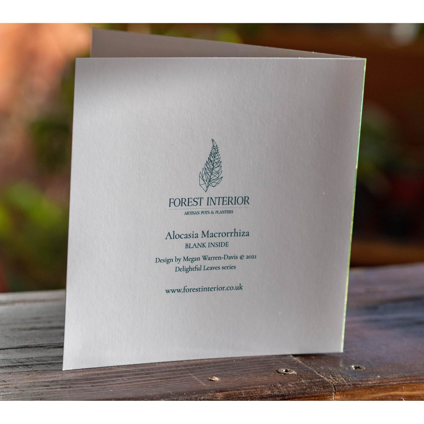 Philodendron Birkin Blank Card - Forest InteriorCards