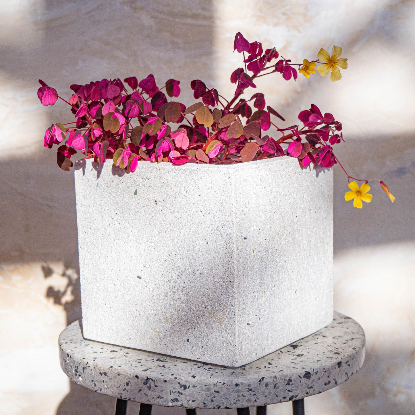 Recycled Large Square Cover Pot - Forest Interior