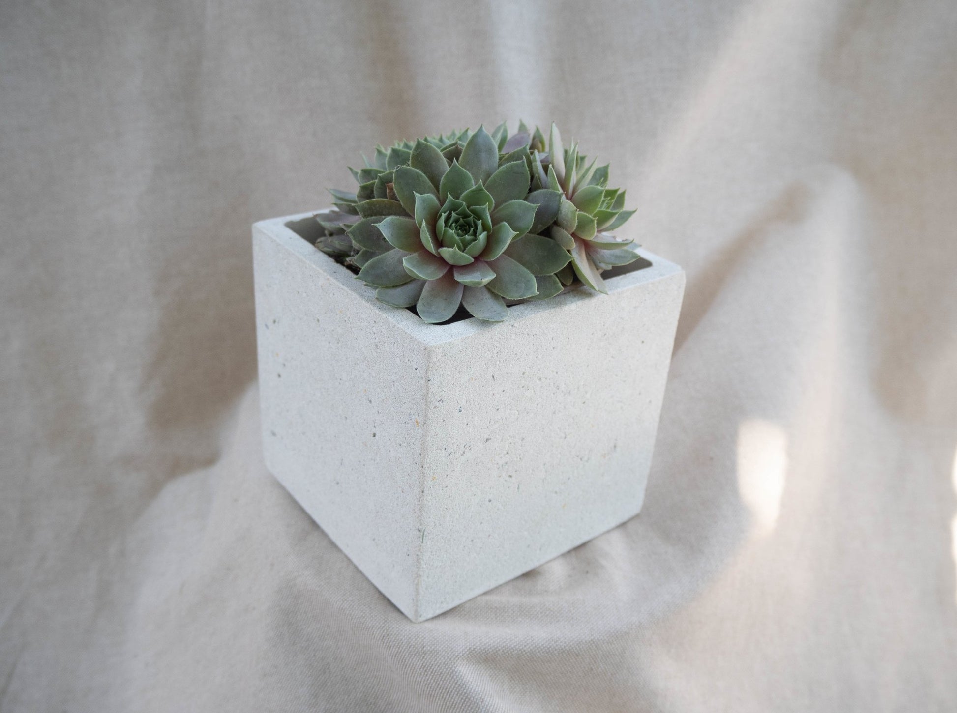 Recycled Large Square Cover Pot - Forest Interior