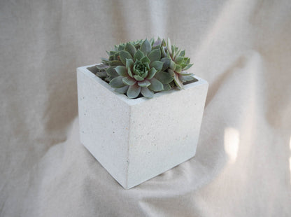 Recycled Large Square Cover Pot - Forest Interior