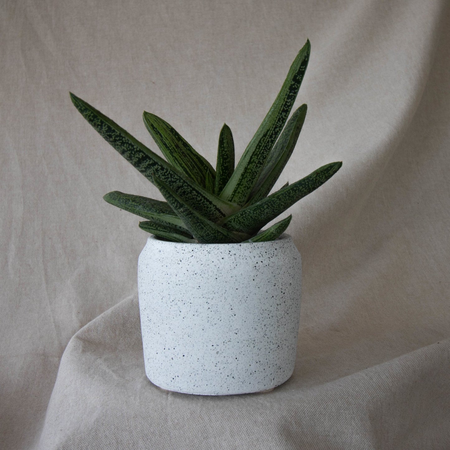 Traditional Plant Pot - Forest InteriorPlant Pots